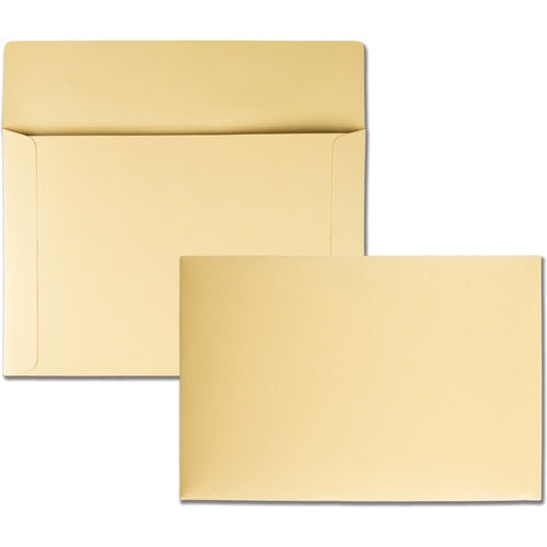 Quality Park QUA89606 Filing Envelopes - Catalog - 10" Width X 14.75" Length - 40 Lb - 100 / Box - Cameo