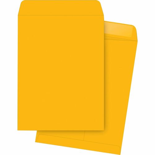 Business Source BSN42115 Kraft Gummed Catalog Envelopes