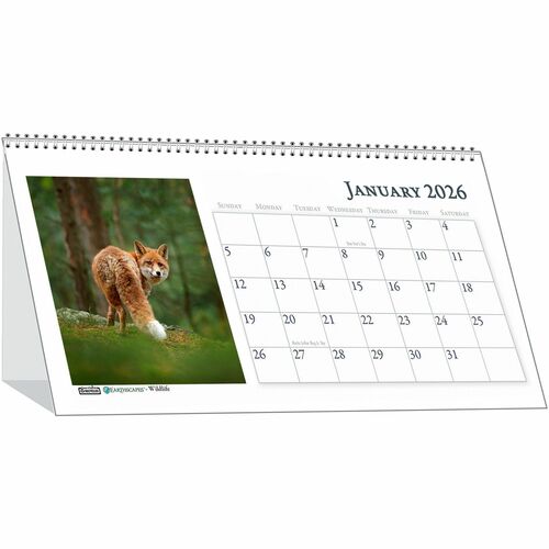 House of Doolittle HOD3689 Wildlife Photo Desk Top Tent Calendars