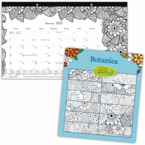 Blueline REDC2917001 DoodlePlan Compact Desk Pad - Botanica