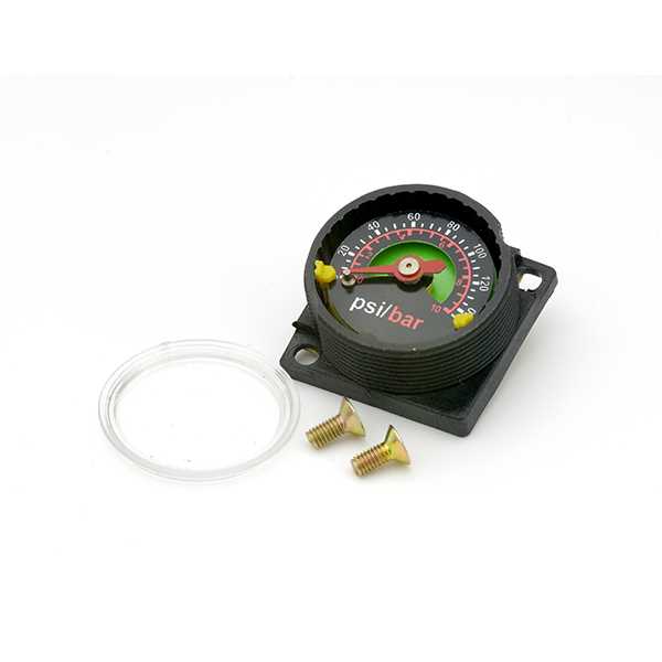American Lube 104310 Gauge Flush Mount