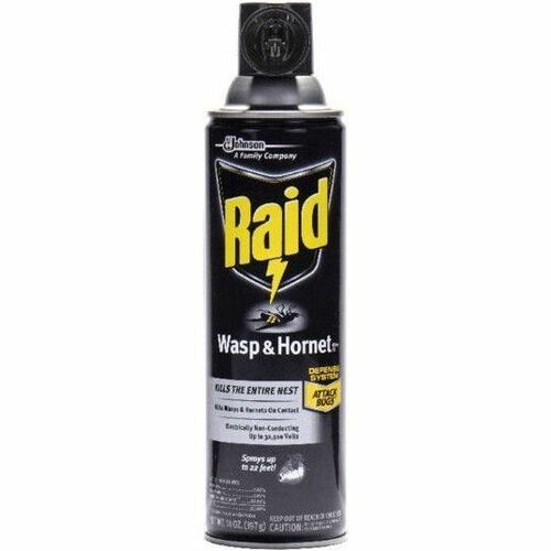 Raid SJN377651 Wasp and Hornet Killer 33