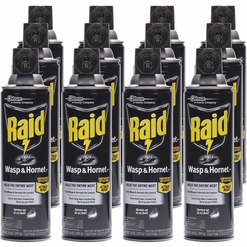 Raid SJN377651CT Wasp and Hornet Killer 33