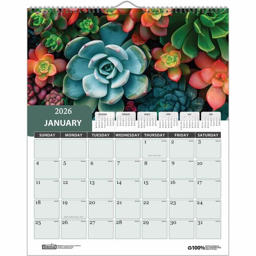 House of Doolittle HOD317 Recycled Succulent & Cacti Wall Calendar