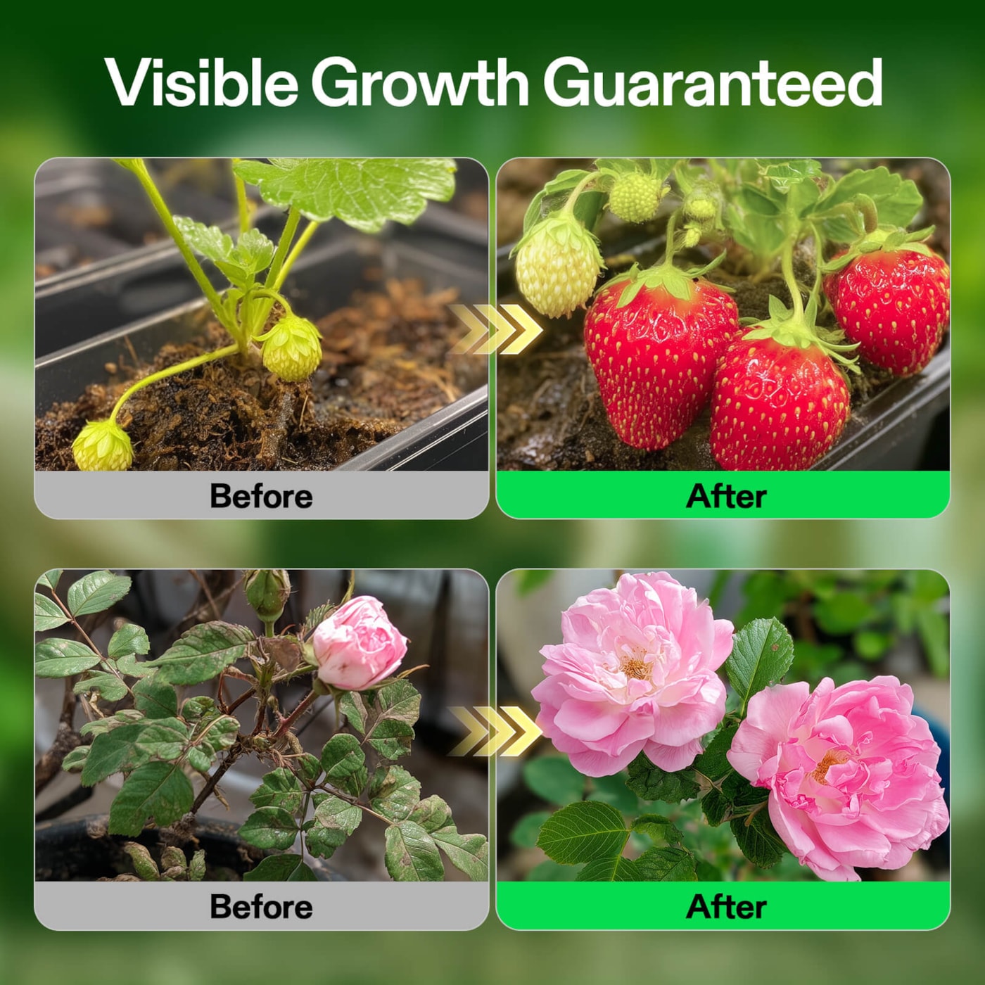 Vivosun Nutrients Base A & B Bundle, Liquid Fertilizer Supports Vegetative and Flowering Stage, 8oz