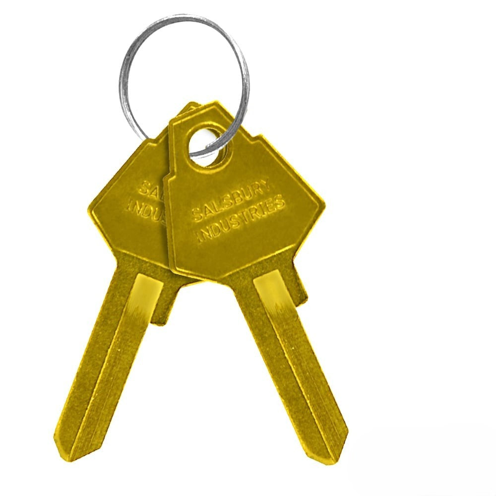 Mailboxes 2299 Salsbury Key Blanks - for Standard Locks of Aluminum Mailboxes - Box of (50)