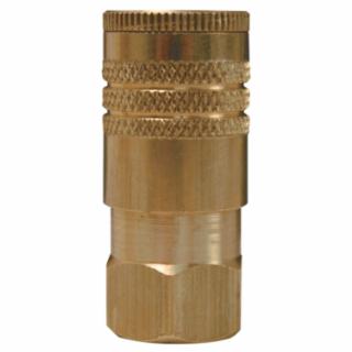 DIXON VALVE DC38 1/4 Npt Female