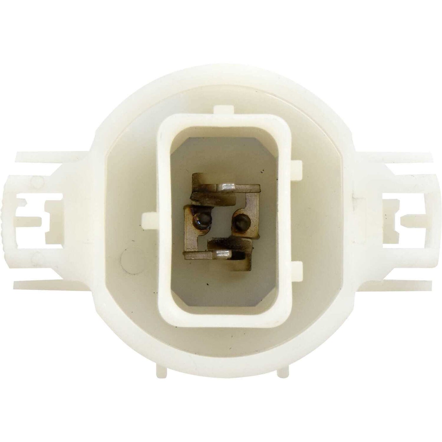 Sylvania Automotive 35225 Sylvania 2504 Silverstar Zxe Halogen Fog Bulb, 2 Pack