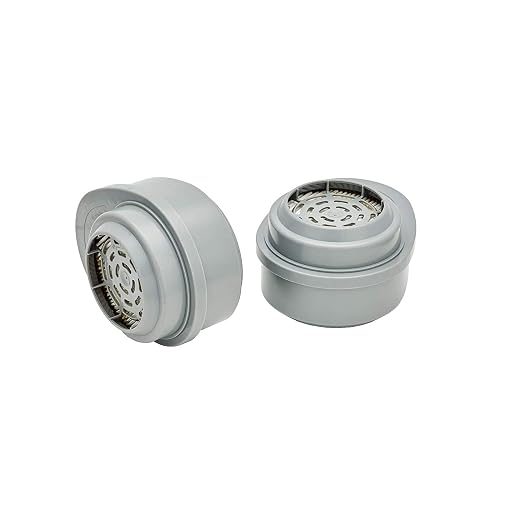 MSA 815366 Gme-P100 Cartridge (2 CTG)