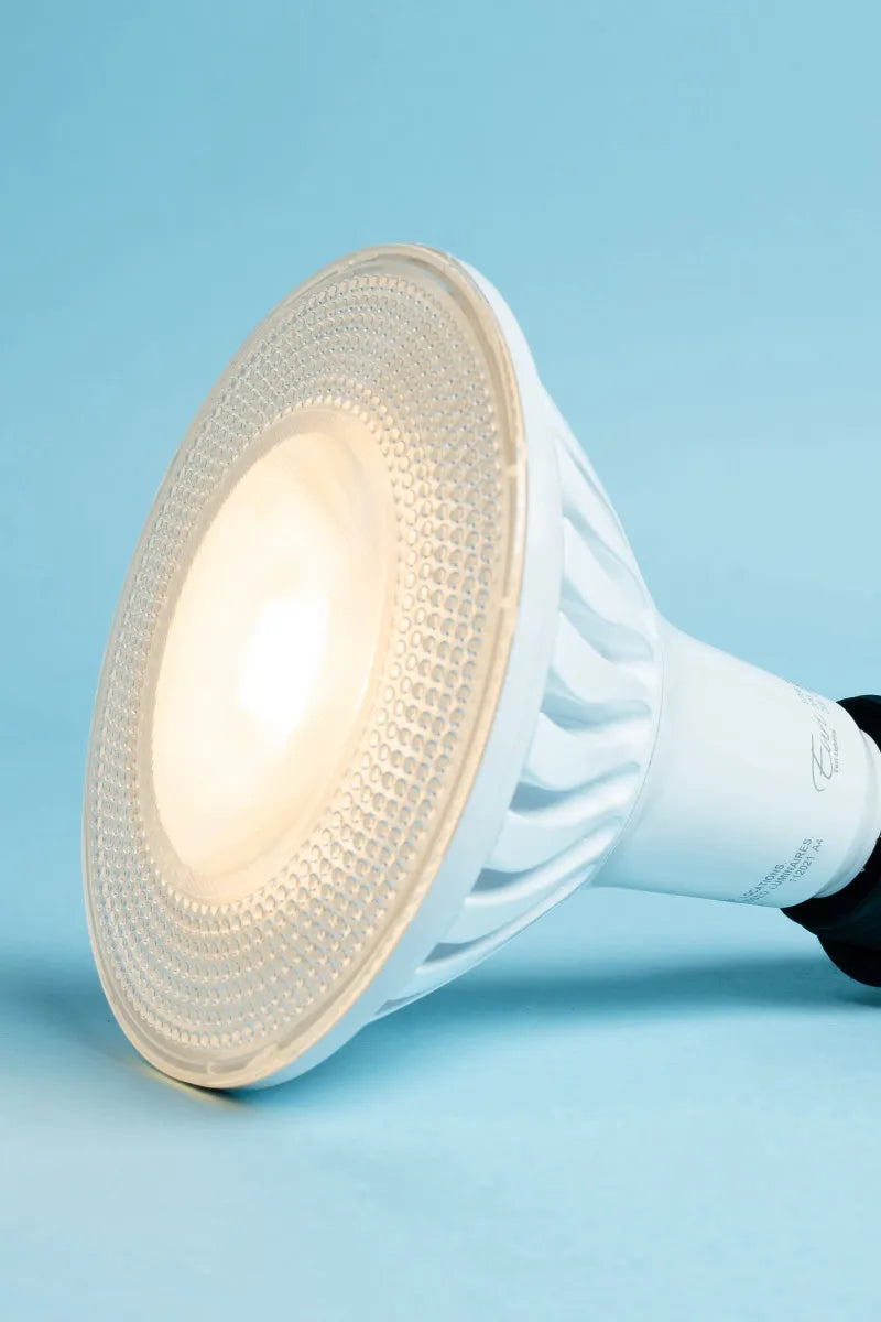 Euri Lighting EP38-20W6021e Everyday LED 150-Watt Equivalent PAR38 Lamp E26 Base Dimmable