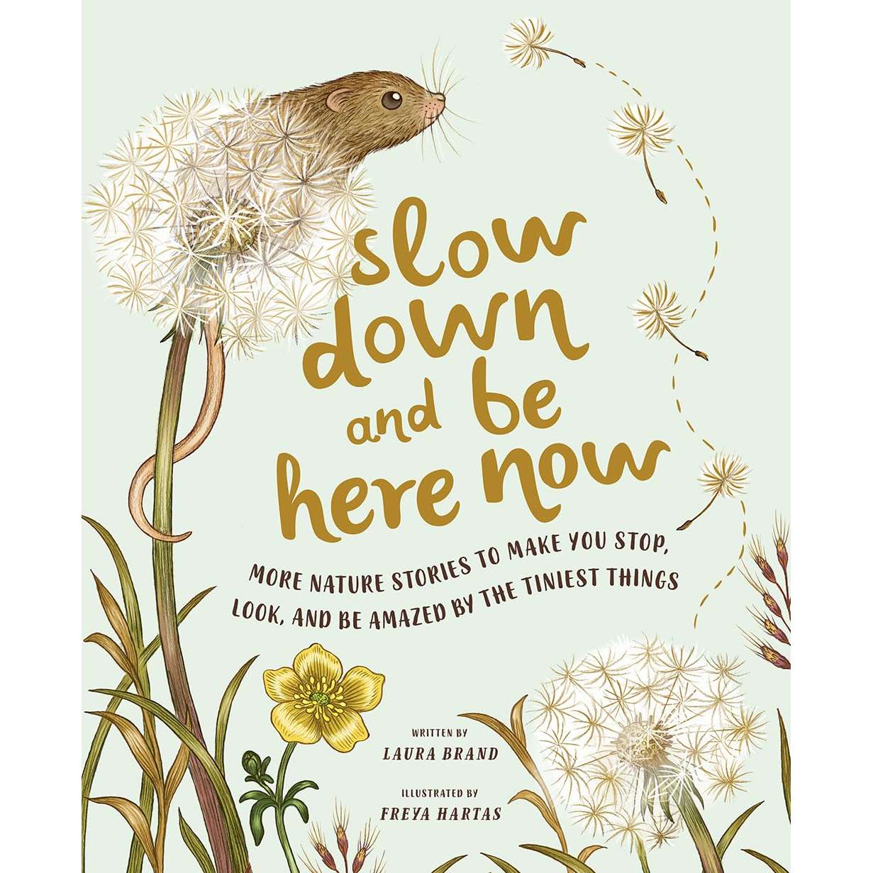 Paradise Clay HNA070 Slow Down and Be Here Now: More Nature Stories to Make You Stop, Look, and Be Amazed by the Tiniest Things - Book