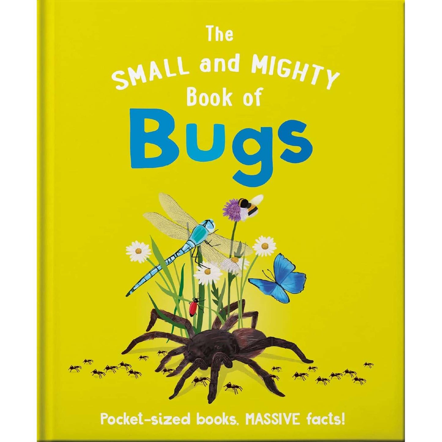 Paradise Clay IPS305 The Small And Mighty Book Of Bugs: Pocket-Sized Books, Massive Facts! - Book