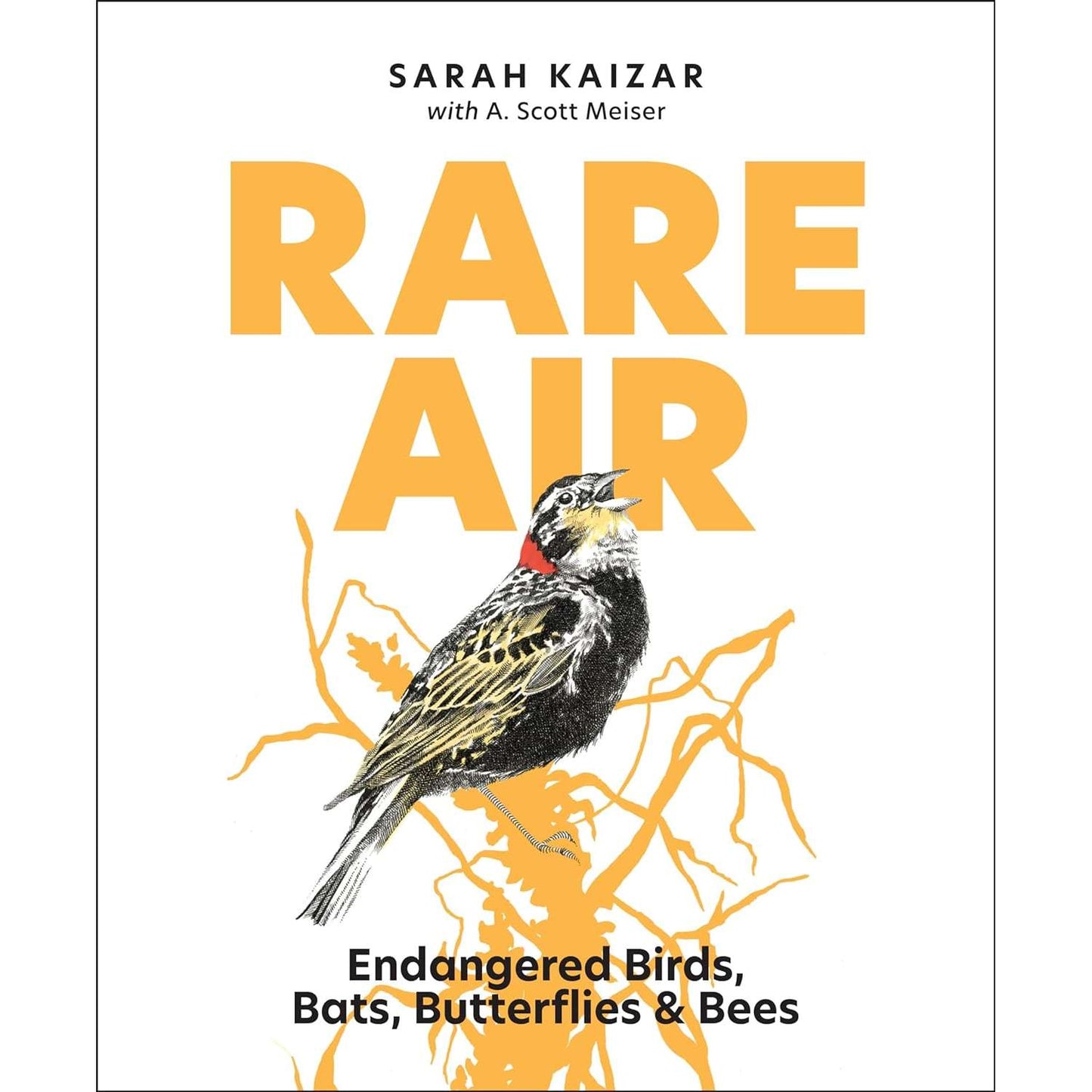 Paradise Clay MOU140 Rare Air - Endangered Birds, Bats, Butterflies and Bees - Book