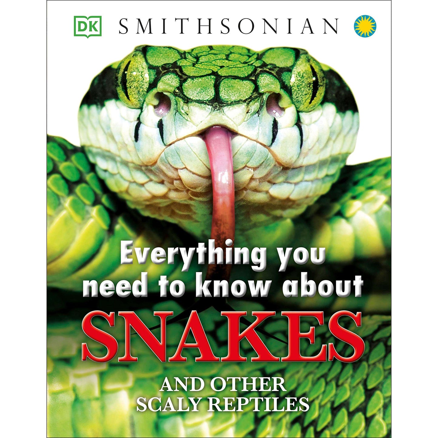 Paradise Clay RAN629 Everything You Need to Know About Snakes - Book