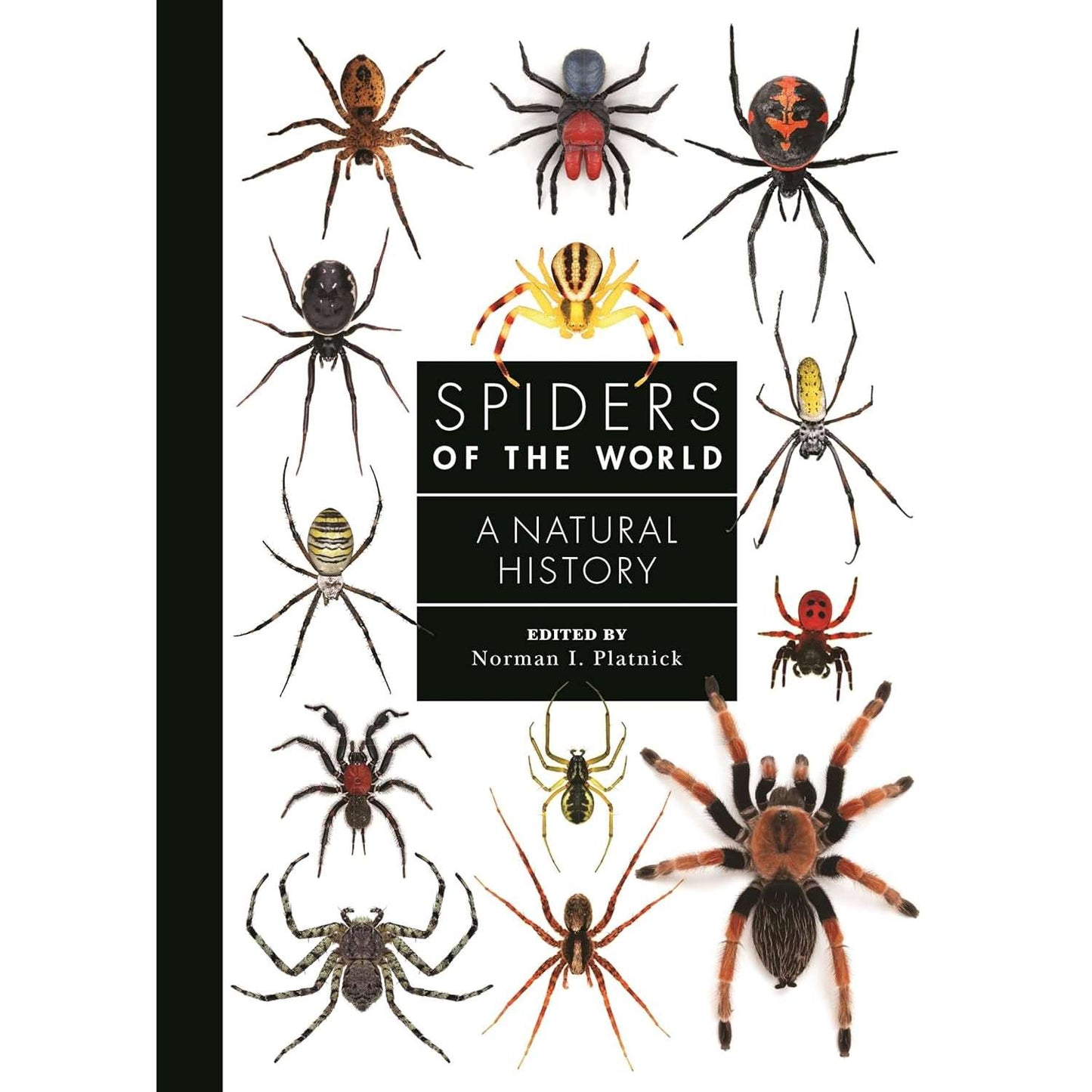 Paradise Clay IPS303 Spiders Of The World: A Natural History - Book