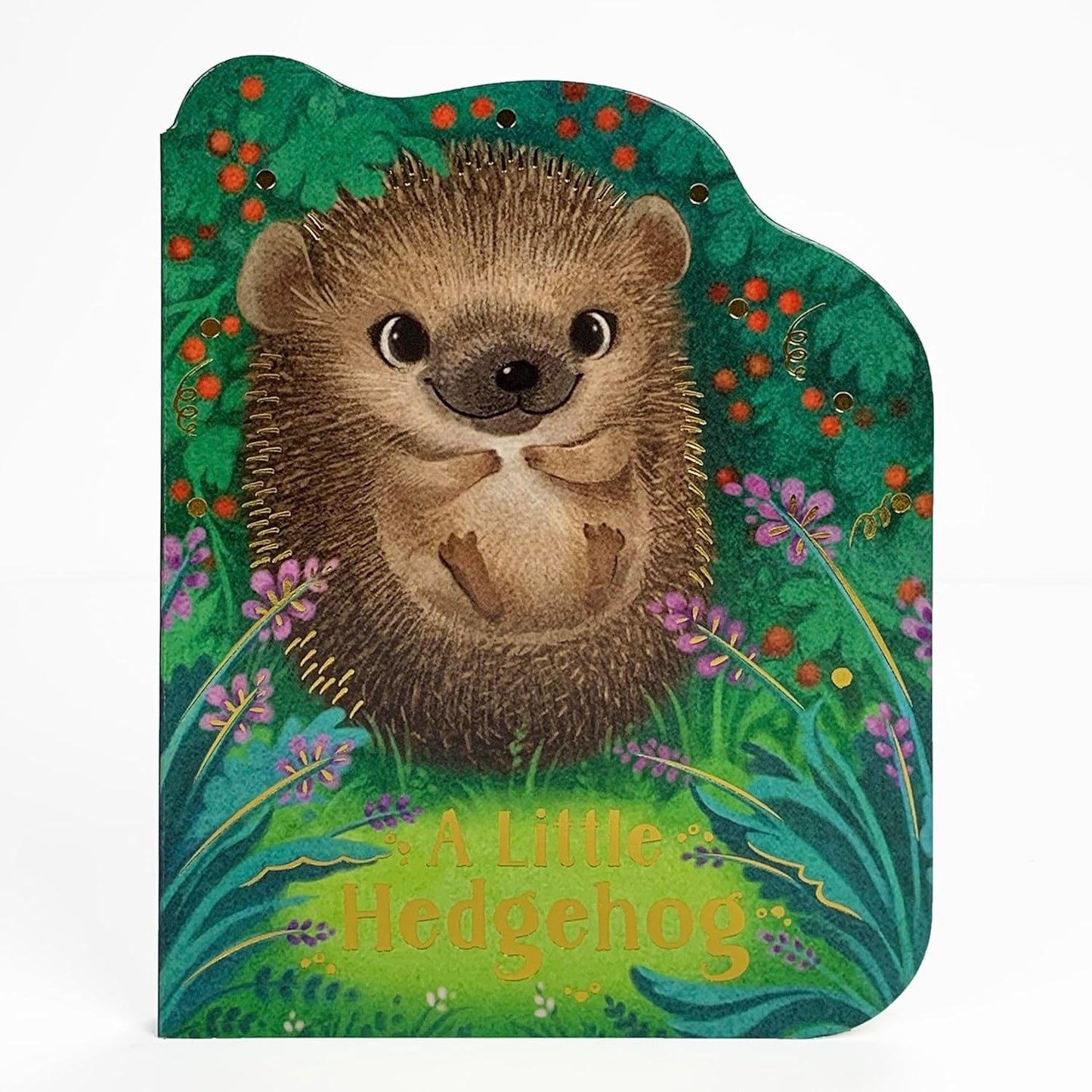 Paradise Clay CDP002 A Little Hedgehog - Board Book