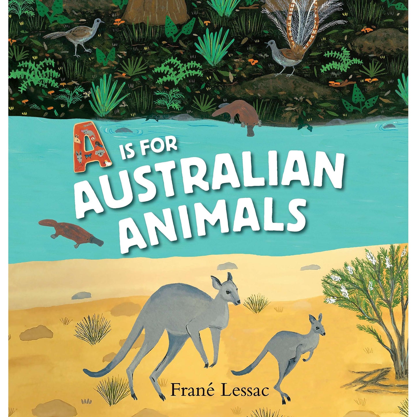 Paradise Clay RAN591 A Is for Australian Animals - Book