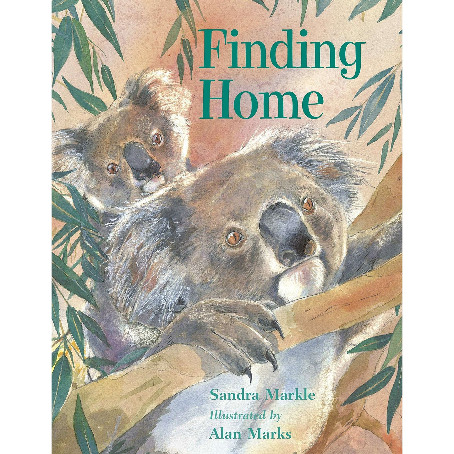 Paradise Clay RAN606 Finding Home - Book