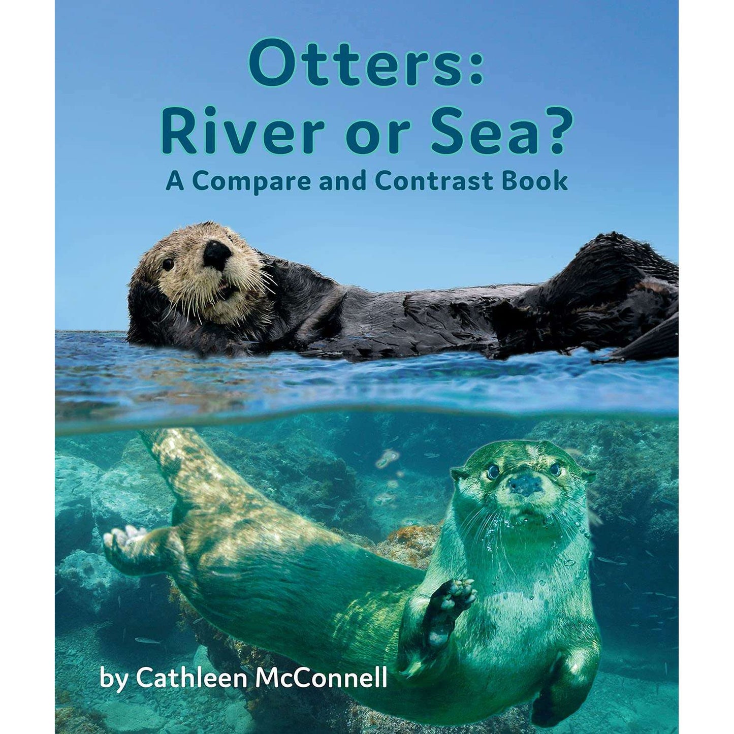 Paradise Clay ARB009 Otters: River or Sea? A Compare and Contrast - Book