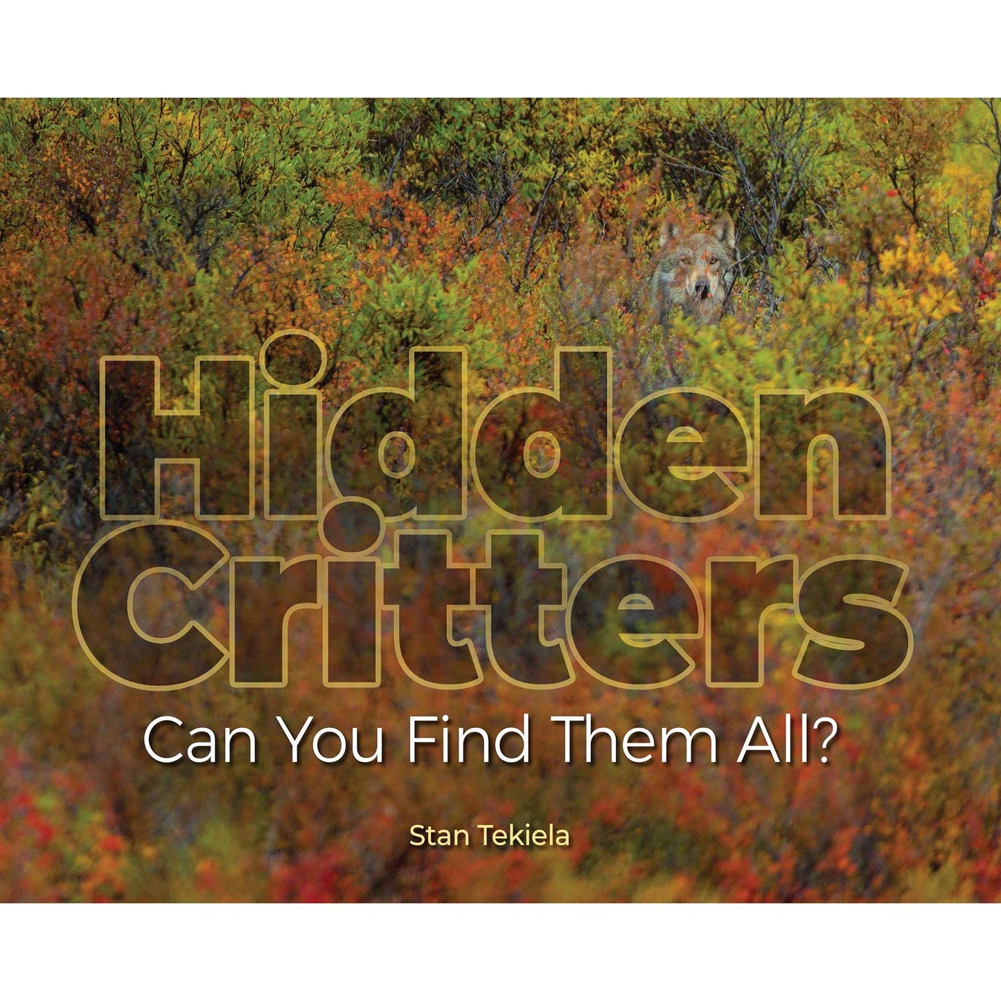 Paradise Clay AVK053 Hidden Critters: Can You Find Them All? - Book