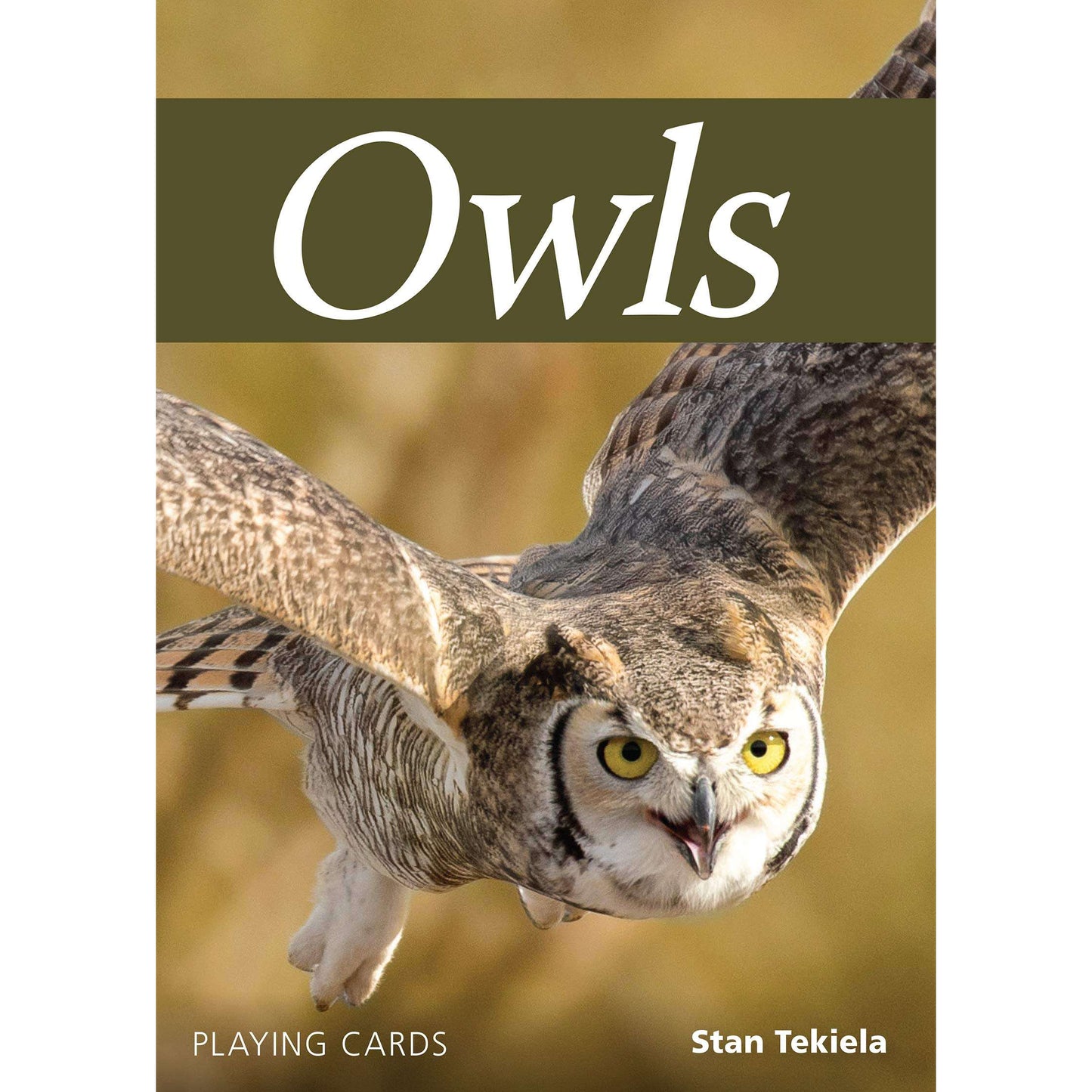 Paradise Clay AVK081 Owls Playing Cards