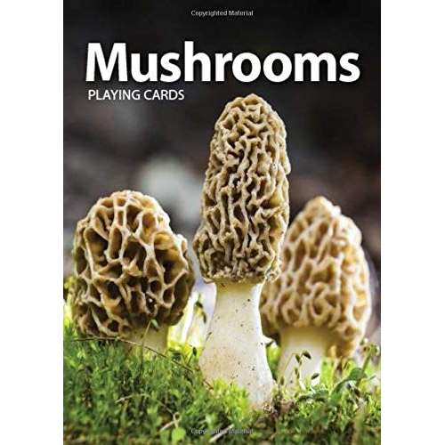 Paradise Clay AVK099 Mushrooms Playing Cards