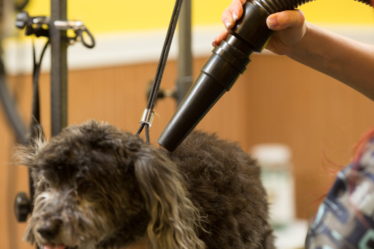 Metrovac 114I-144663 Air Force Blaster Variable Speed 220V / Uk