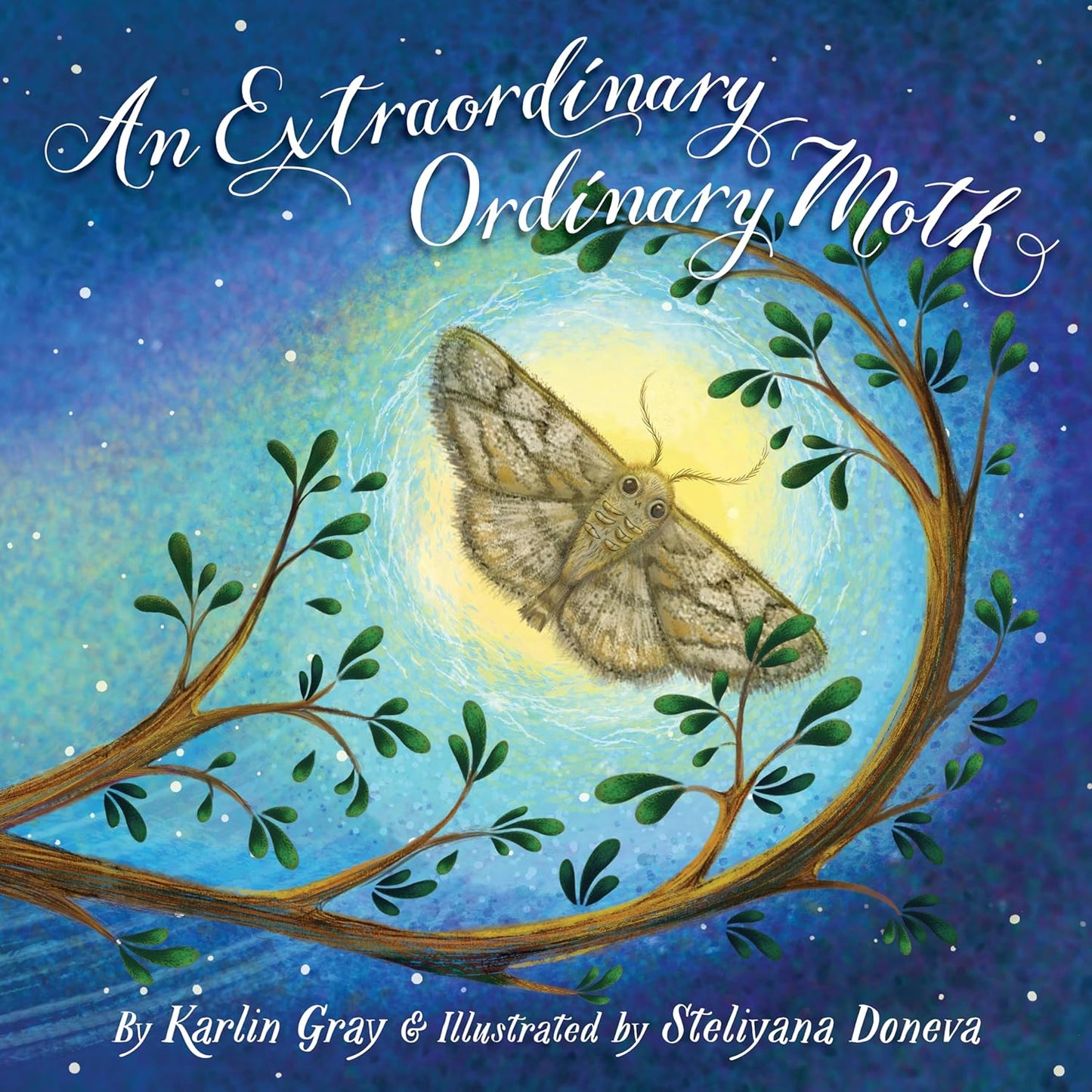 Paradise Clay CLP007 An Extraordinary Ordinary Moth - Book