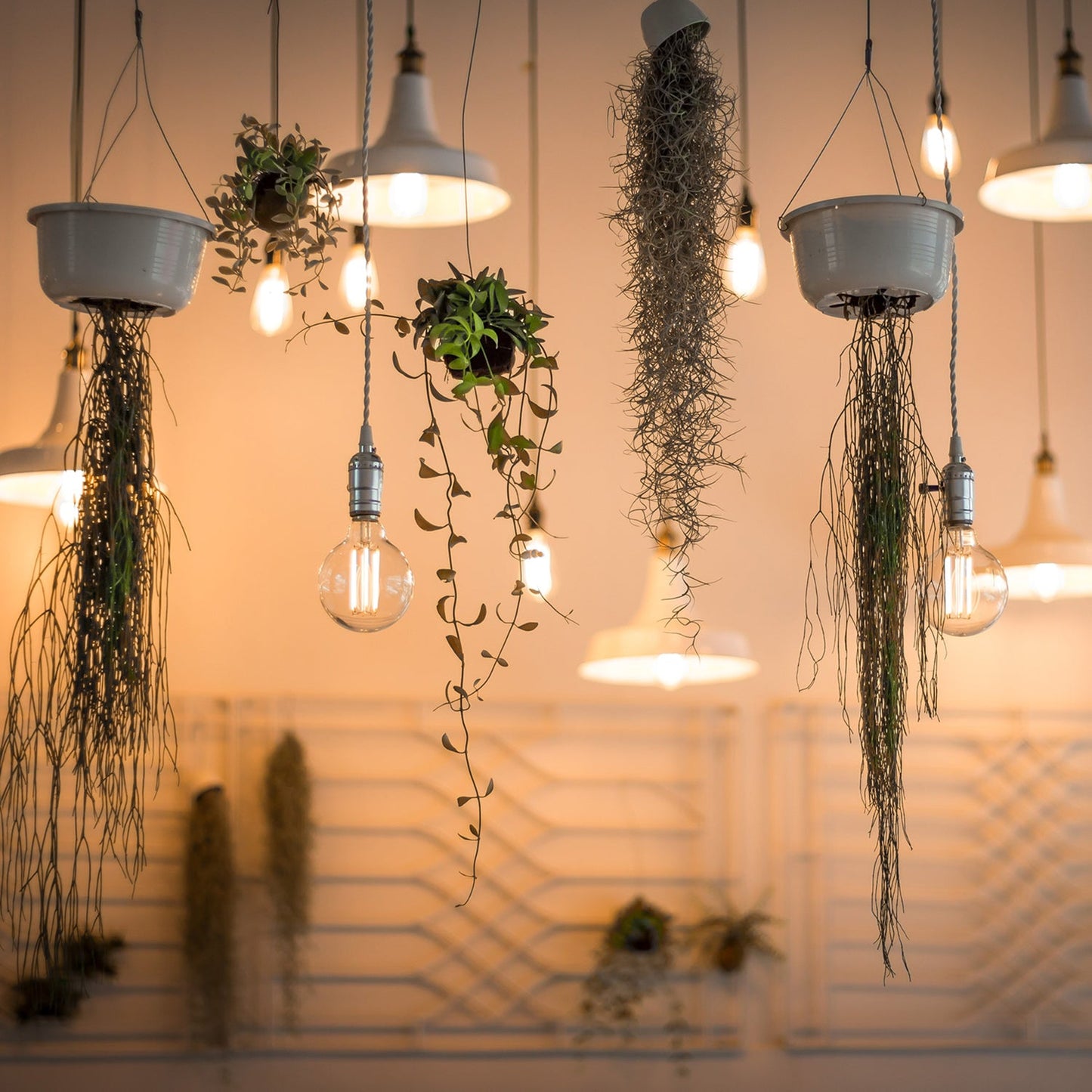 Feit Electric BPG2575/850/FIL/LED 75W Equivalent Daylight G25 Dimmable Globe Glass Filament LED Light Bulb