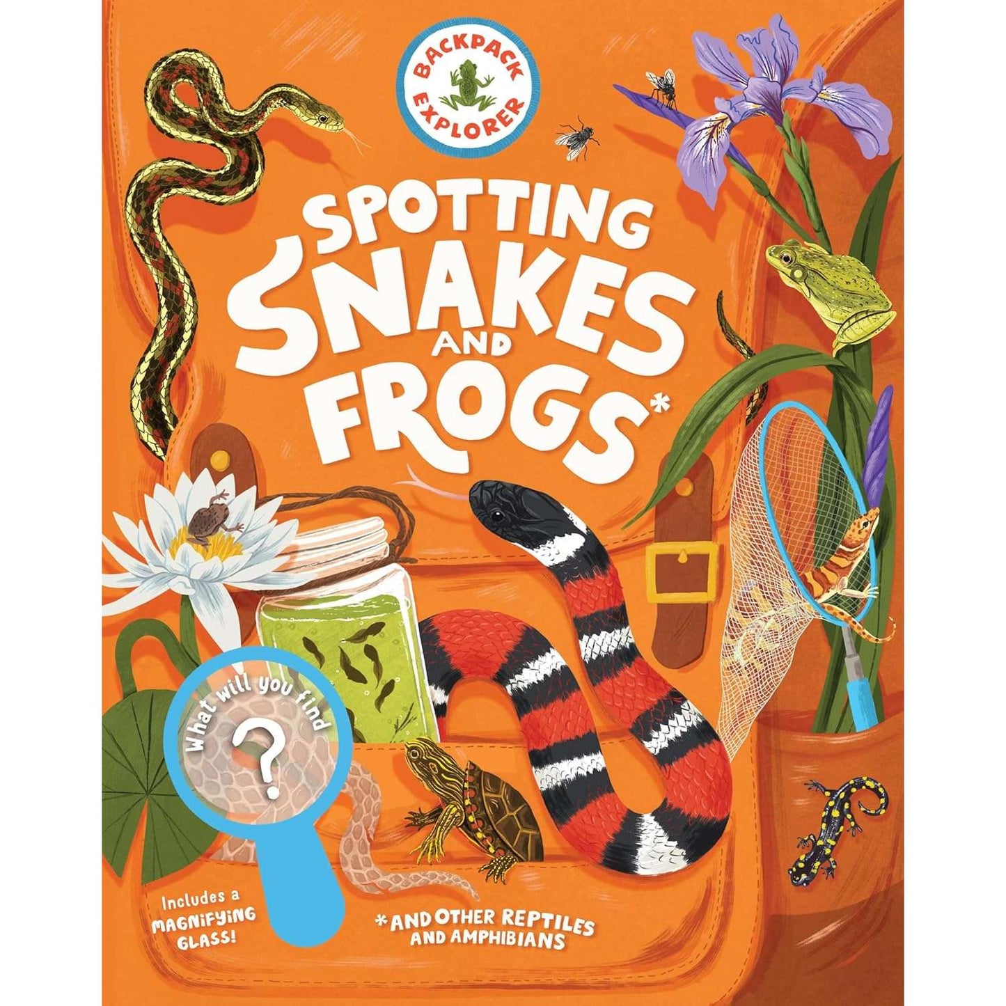 Paradise Clay HCT103 Backpack Explorer: Spotting Snakes and Frogs, and Other Reptiles and Amphibians: What Will You Find? - Book