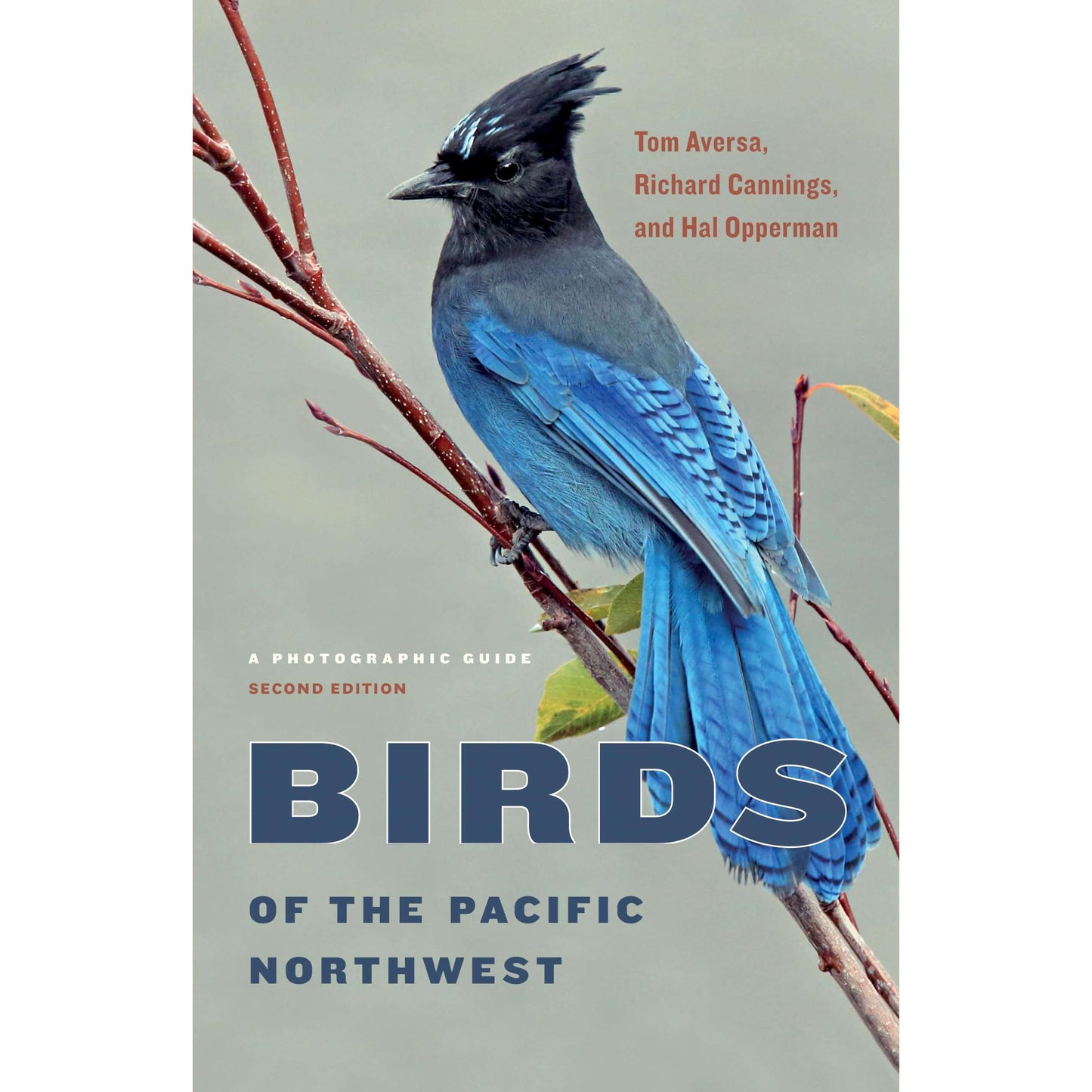 Paradise Clay UWP011 Birds of the Pacific Northwest - Book