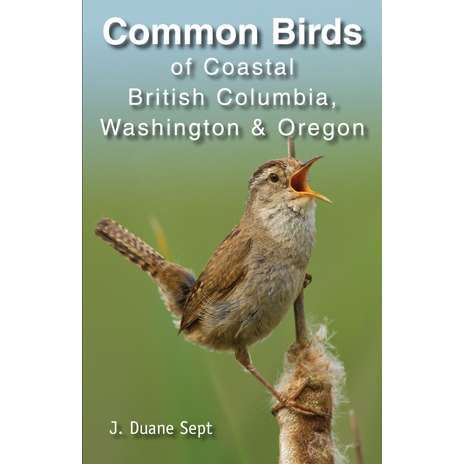 Paradise Clay CPC013 Common Birds of Coastal British Columbia, Washington & Oregon - Book