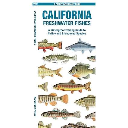 Paradise Clay WFP203 California Freshwater Fishes - Pocket Guide