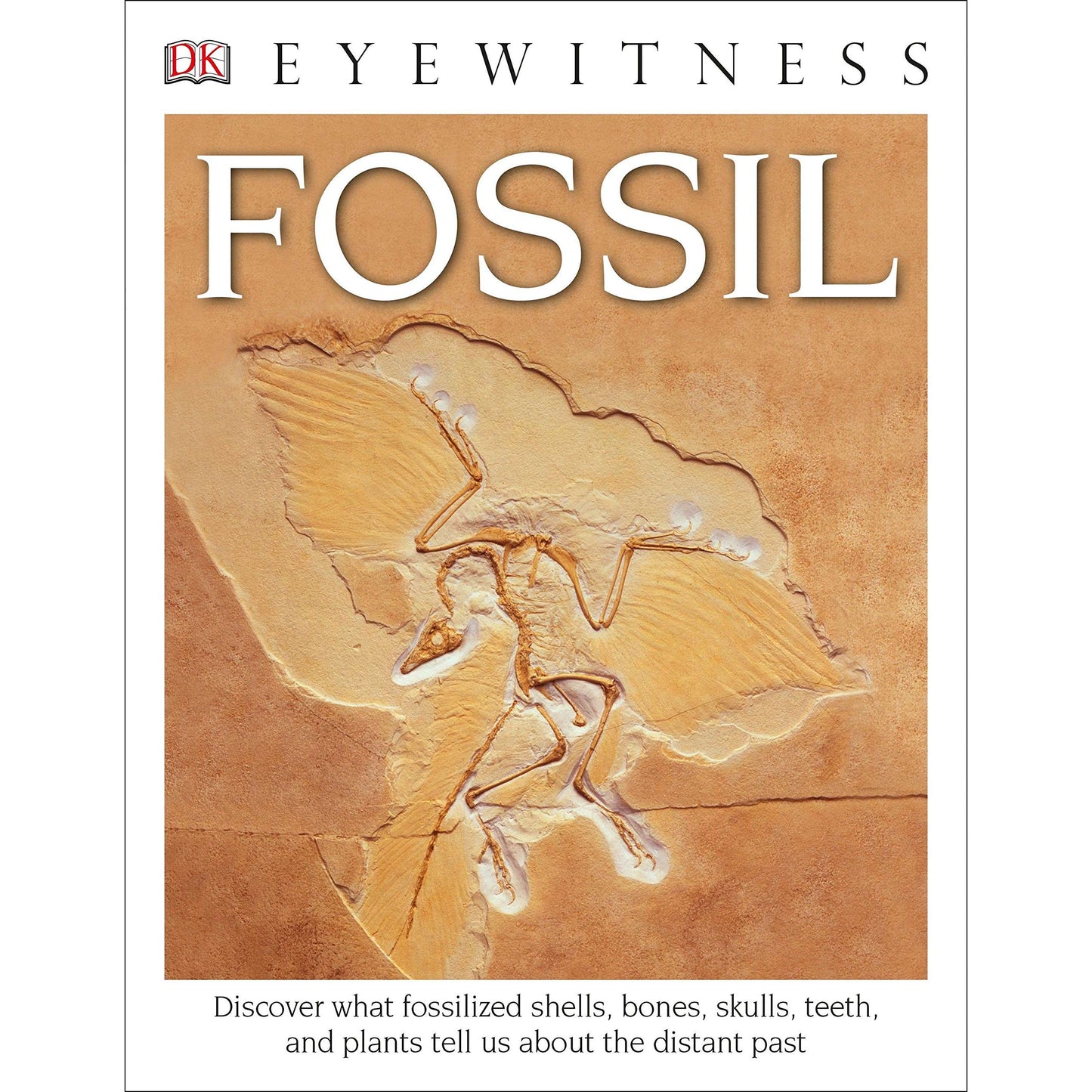 Paradise Clay DKP084 DK Eyewitness Books: Fossil - Book