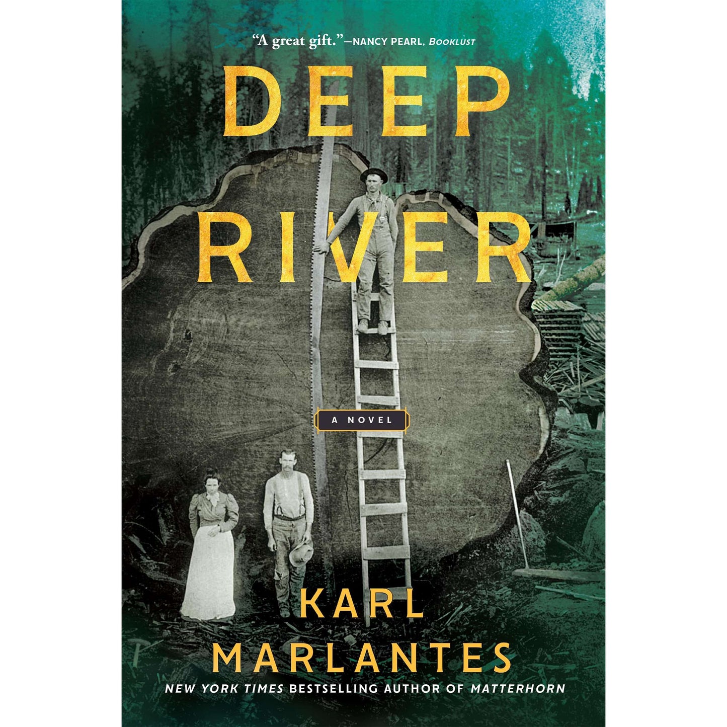 Paradise Clay IPS318 Deep River: A Novel - Book