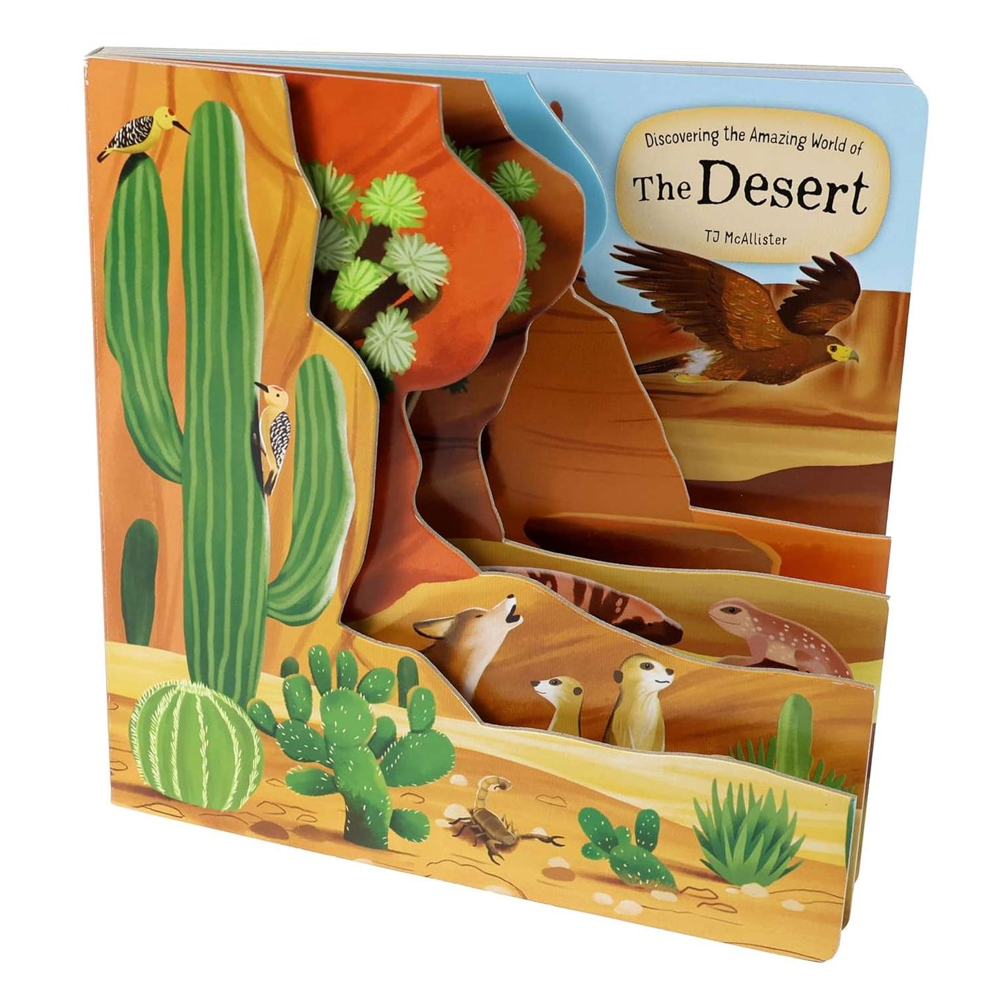 Paradise Clay FCP160 Discovering the Amazing World of the Desert - Board Book