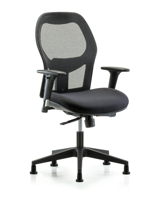 Blue Ridge Ergonomics EXE-MDHCH-RG-H0-A1-RG Executive Windrowe Mesh Back Chair with Standard Adjustable Arms & Stationary Glides