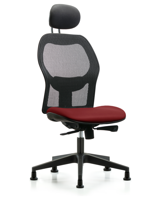 Blue Ridge Ergonomics EXE-VMDHCH-RG-H1-A0-RG-8815 Executive Windova Mesh Back Chair with Borscht Supernova™ Seat, Head Rest, & Stationary Glides
