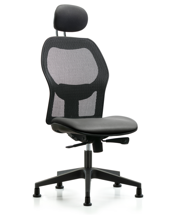 Blue Ridge Ergonomics EXE-VMDHCH-RG-H1-A0-RG-8840 Executive Windova Mesh Back Chair with Sterling Supernova™ Seat, Head Rest, & Stationary Glides