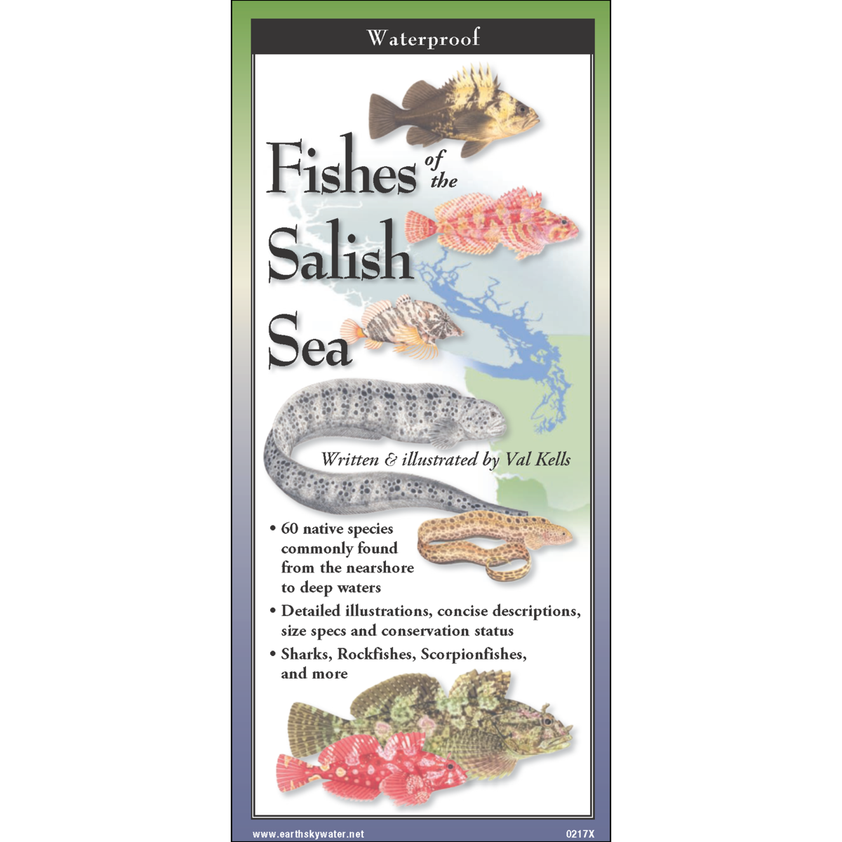 Paradise Clay FGG095 Fishes of the Salish Sea - Folding Pocket Guide