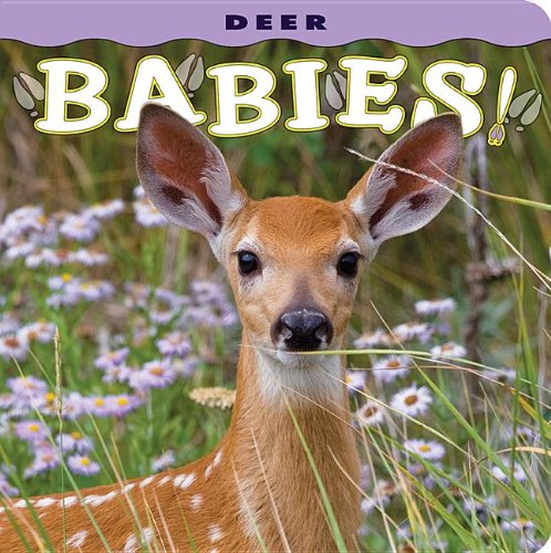 Paradise Clay FAR024 Deer Babies! - Book