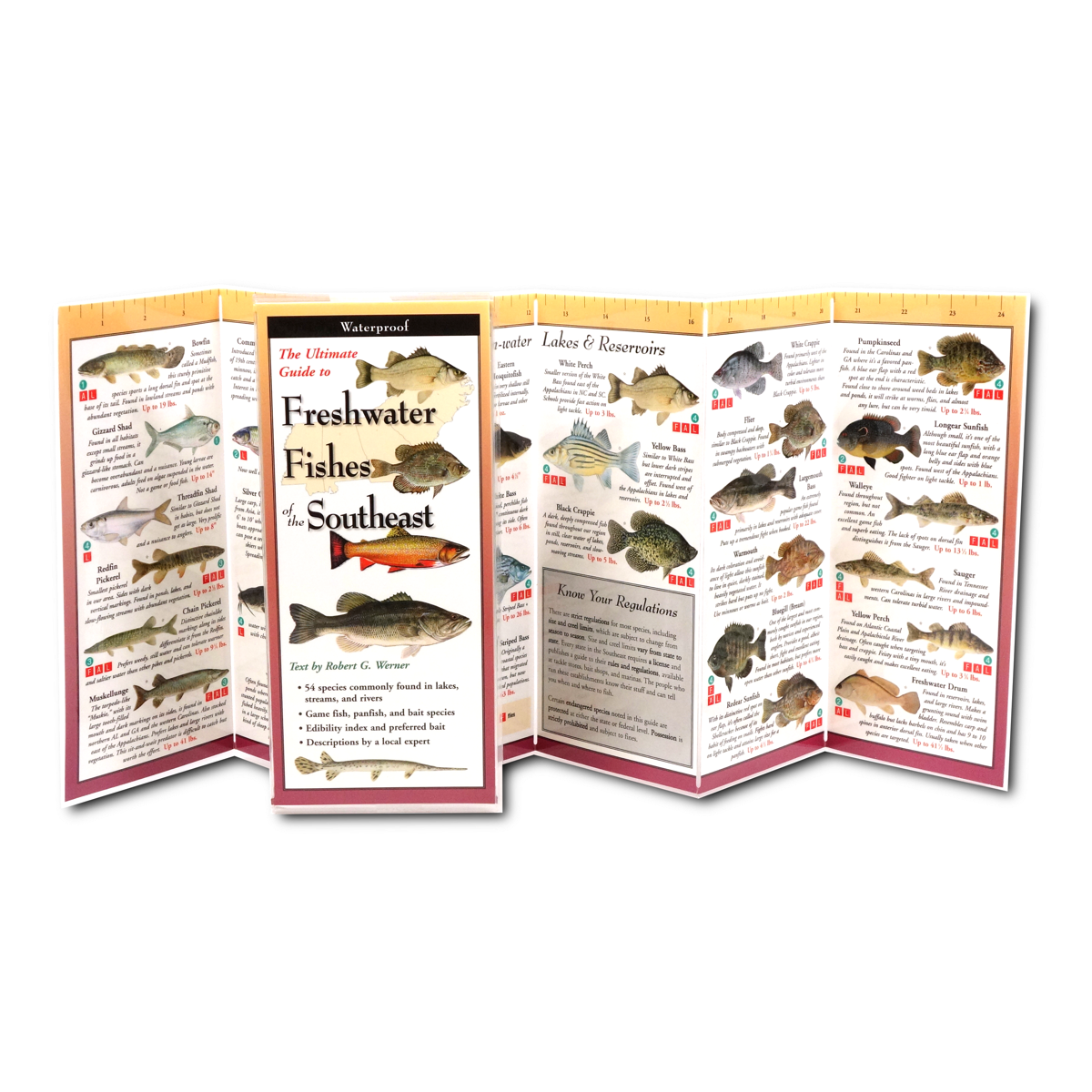 Paradise Clay FGG053 Freshwater Fishes of the Southeast - Folding Pocket Guide