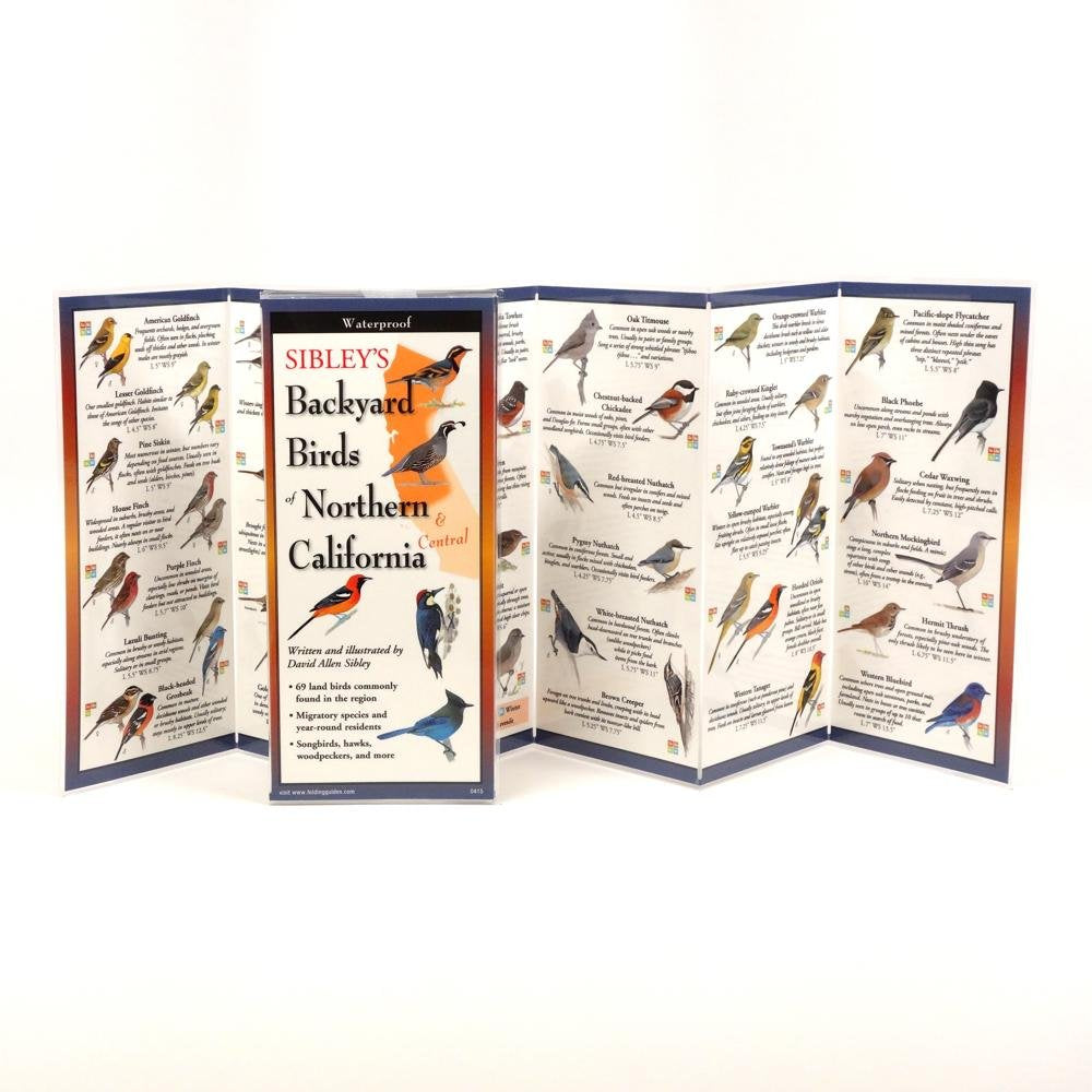 Paradise Clay FGG083 Sibley's Backyard Birds of Northern and Central California - Folding Pocket Guide