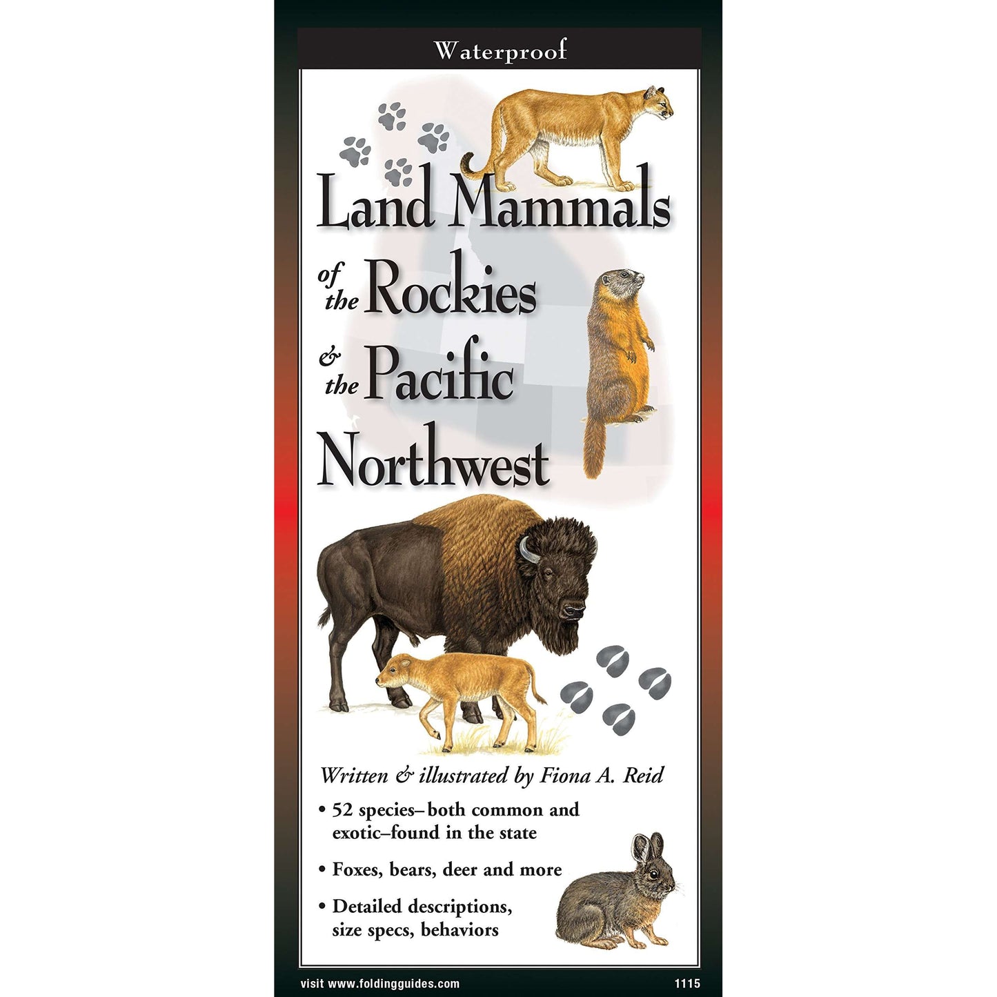 Paradise Clay FGG084 Land Mammals of The Rockies & The Pacific Northwest - Folding Pocket Guide
