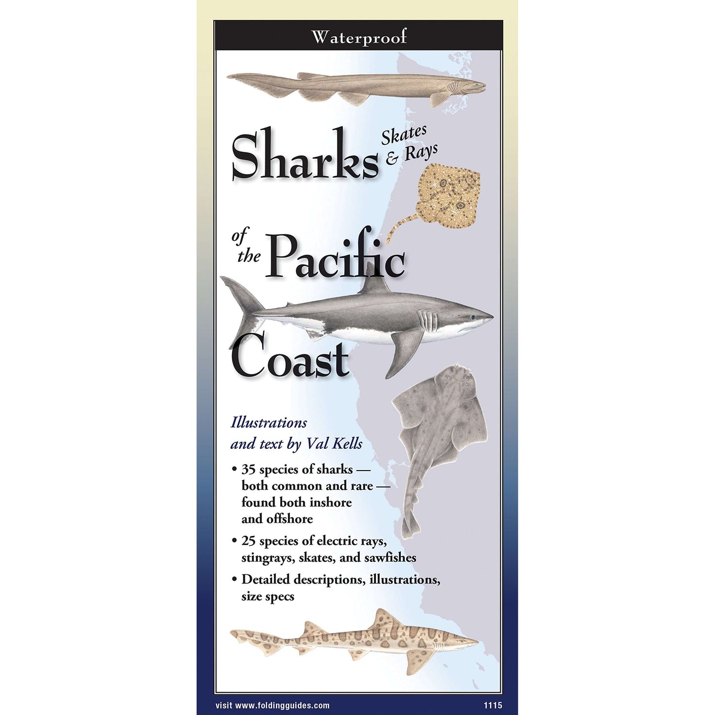Paradise Clay FGG088 Sharks, Skates & Rays Of The Pacific Coast - Folding Pocket Guide