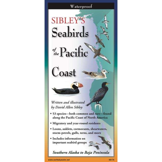 Paradise Clay FGG090 Sibley's Seabirds of the Pacific Coast - Folding Pocket Guide