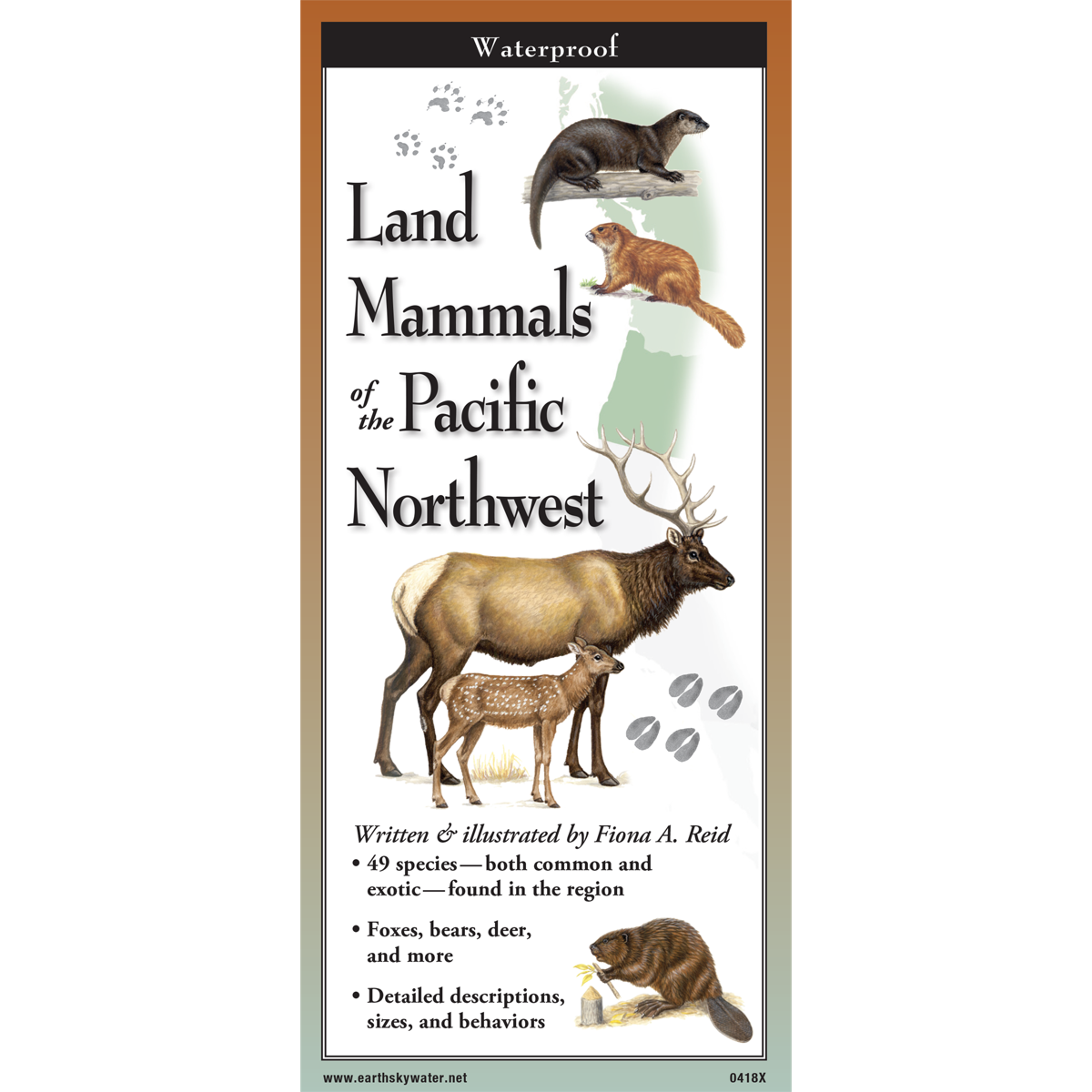 Paradise Clay FGG096 Land Mammals of the Pacific Northwest - Folding Pocket Guide