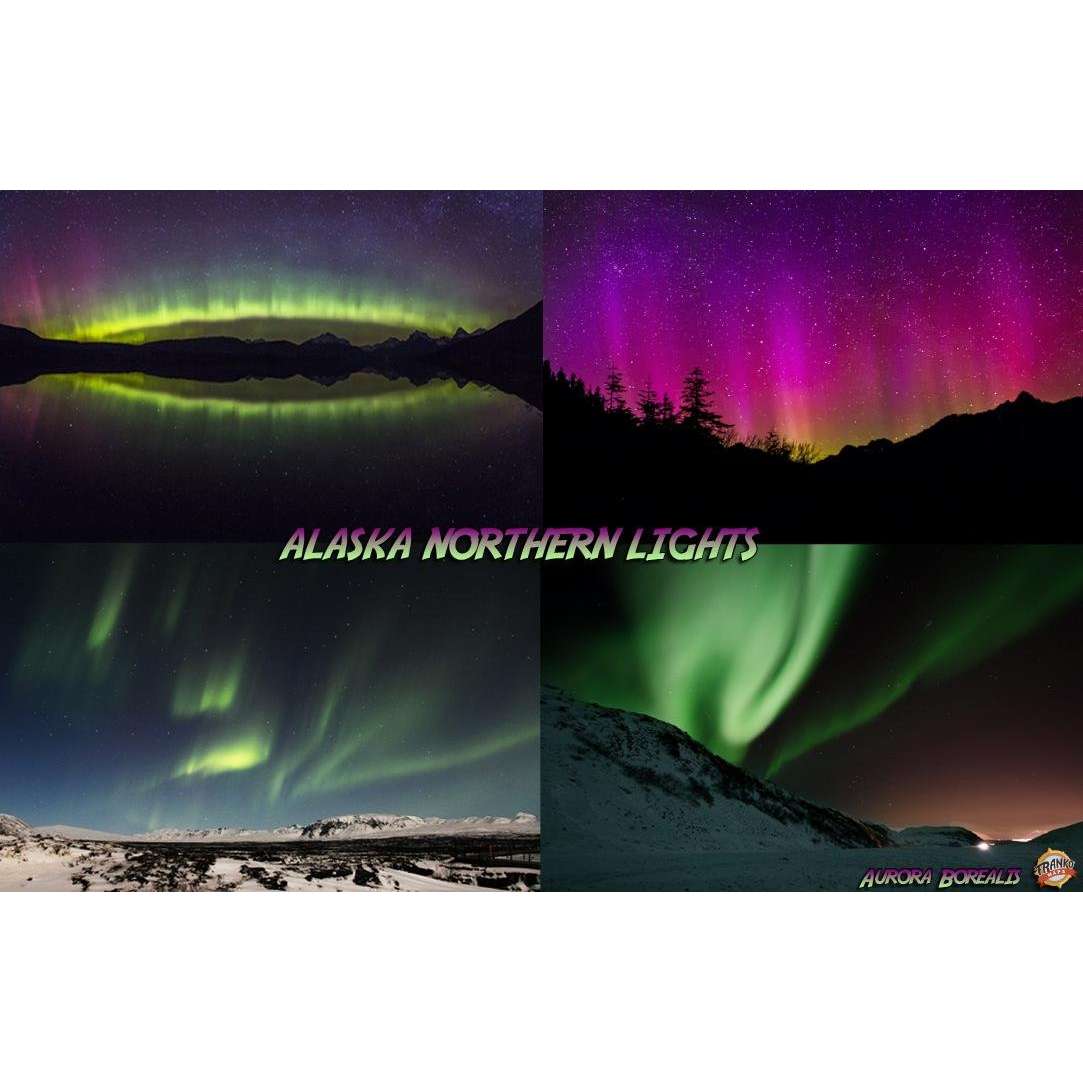Paradise Clay FRM003 Alaska Northern Lights Guide Laminated Card - Laminated Card