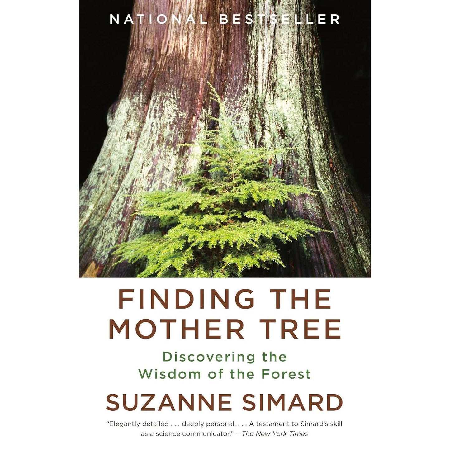 Paradise Clay PGN519 Finding the Mother Tree: Discovering the Wisdom of the Forest - Book