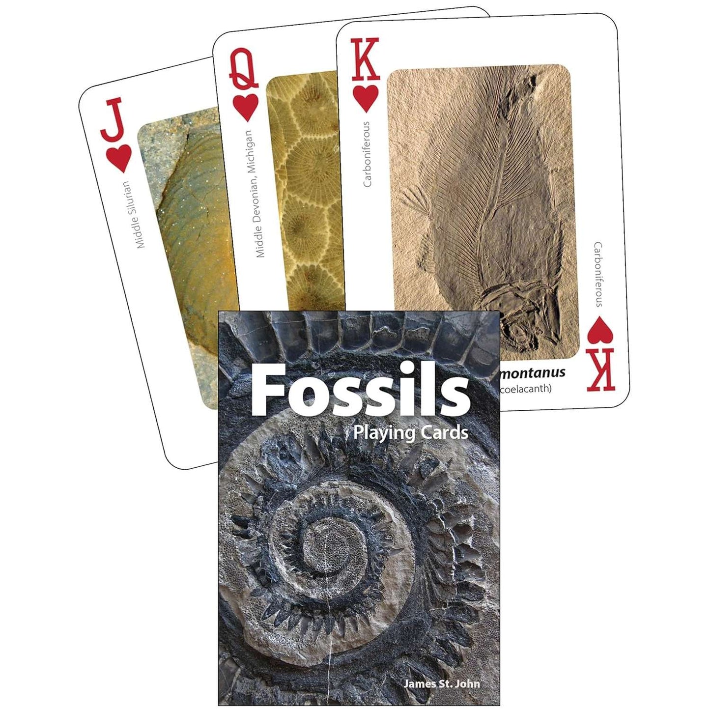 Paradise Clay AVK161 Fossils Playing Cards